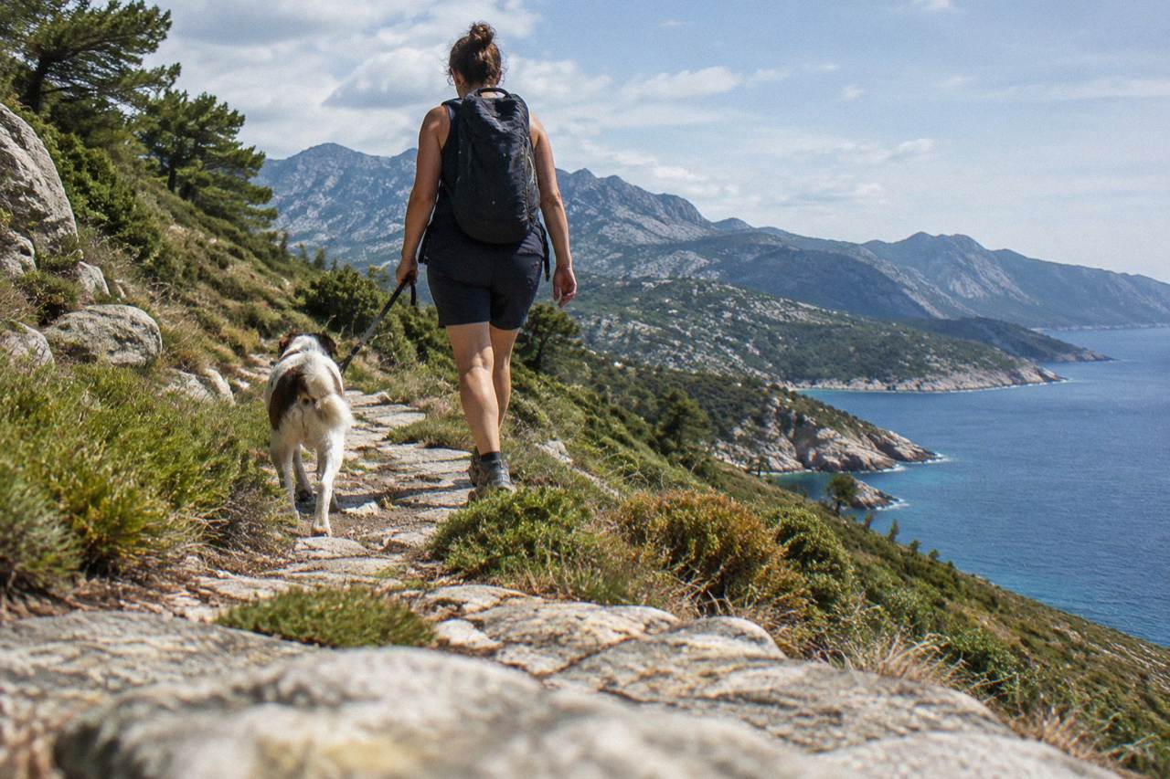 A dog on a lead walking with an owner along a coastal path above the sea in Corsica