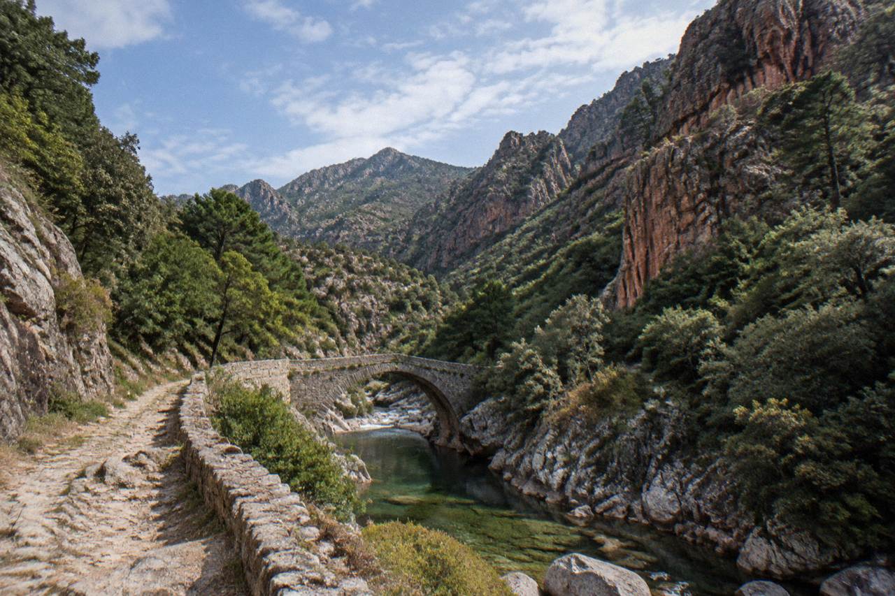 A mountain stream flowing between granite slopes in a forested Corsican gorge