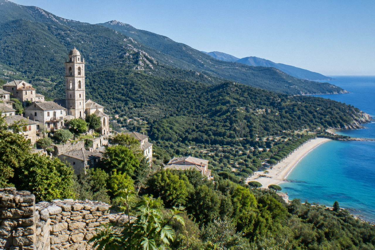 A sandy Corsican beach with clear shallow water and a line of umbrella pines along the shore