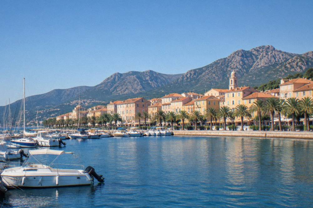 Palm-lined seafront promenade with a pastel old town and a wide gulf