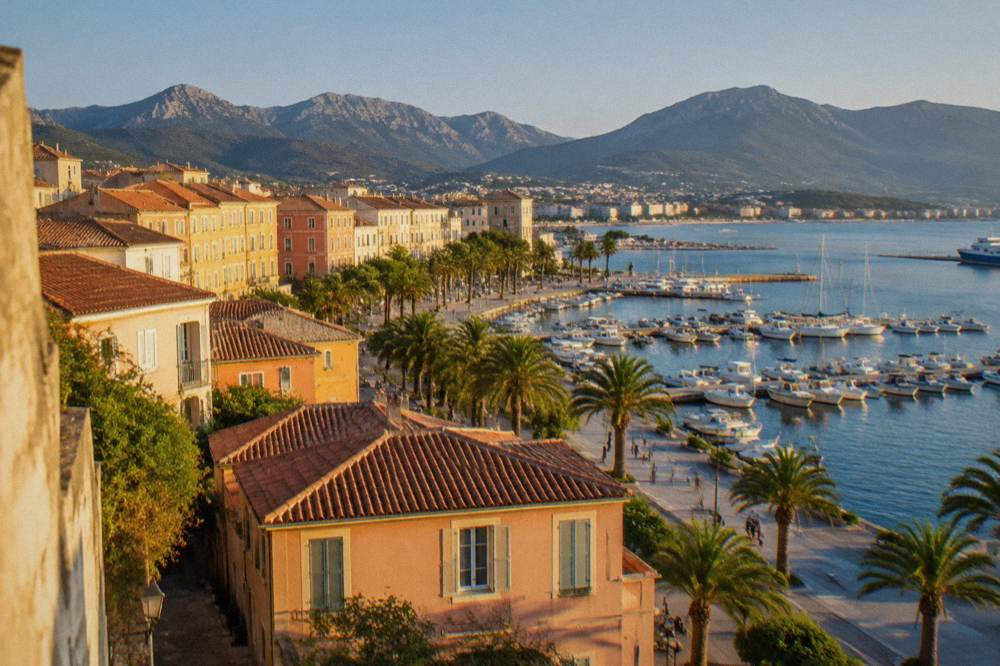 Palm-lined seafront promenade in Ajaccio under a clear sky