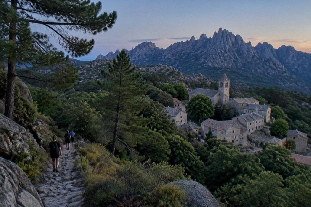 Hikers on a stone path among pine trees with rocky summits in the distance