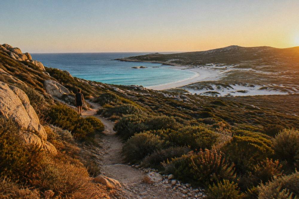 A white sand beach with dunes and turquoise water in the Désert des Agriates