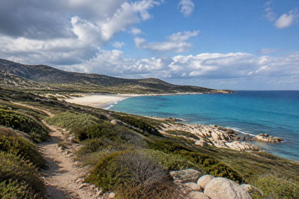 An empty sandy beach and maquis scrub along the Agriates coast of Corsica