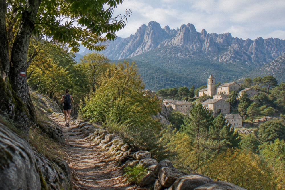 A waymarked footpath climbing through chestnut woodland in Corsica