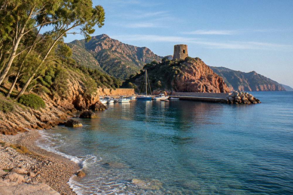 A wide sandy beach with clear shallow water and pine trees near Porto Vecchio