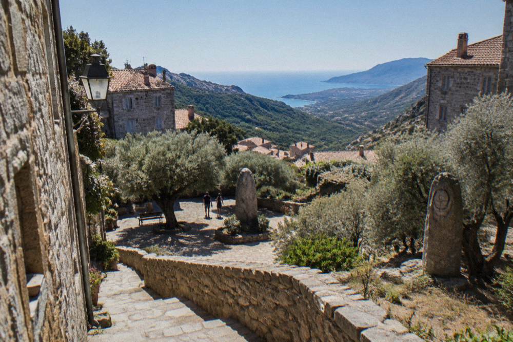 Standing stones and carved granite menhirs among olive trees