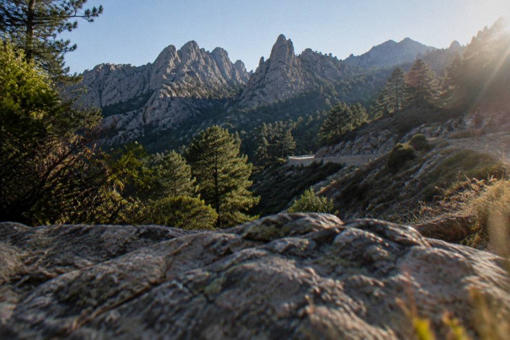 Dense green forest and rocky slopes in the Bavella area of southern Corsica