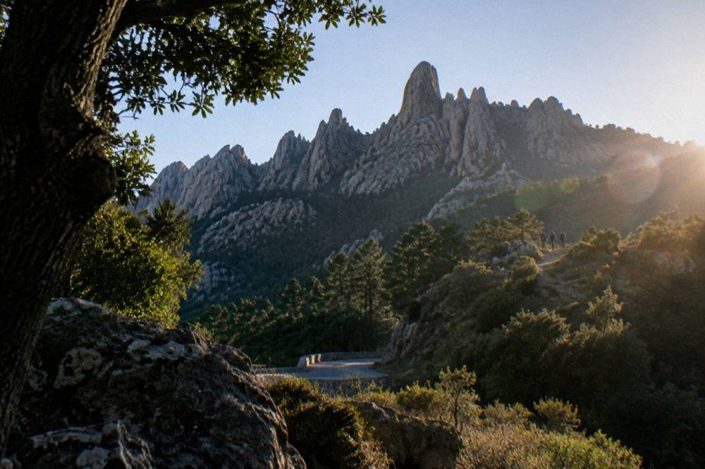 Granite rock peaks of the Aiguilles de Bavella above pine forest