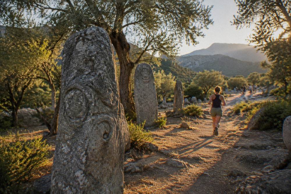 Standing stones in a grove of trees at a Corsican megalithic site