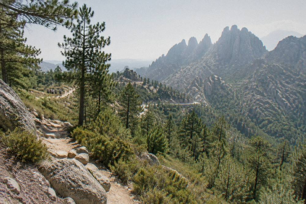 A marked hiking trail climbing through pine forest in southern Corsica