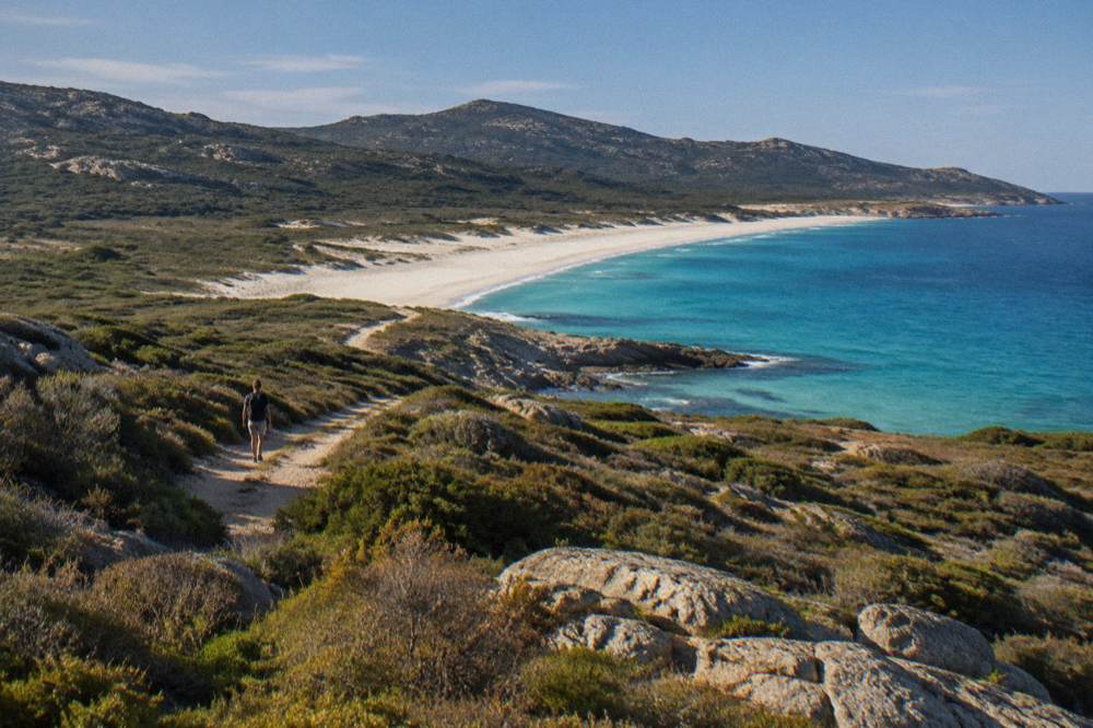A long pale sandy beach backed by dunes and green scrub under a blue sky