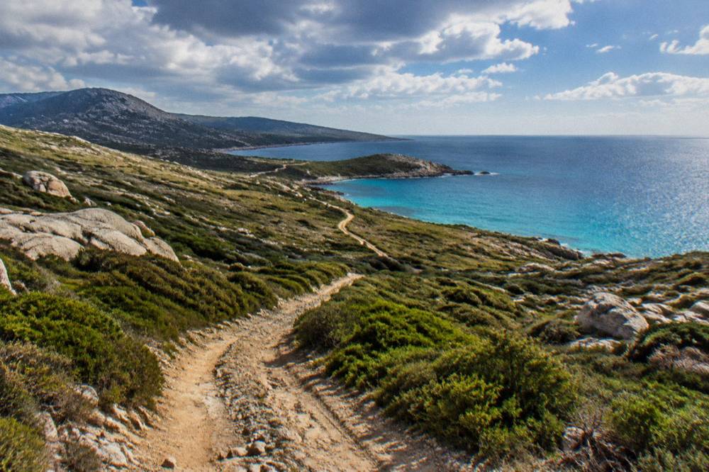 A rutted dirt track winding through green scrub toward the sea
