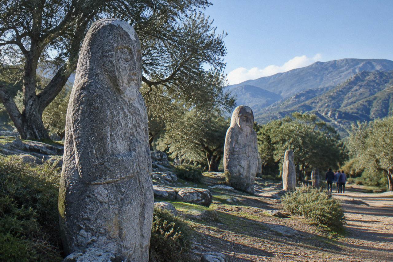 Granite statue-menhirs standing among olive trees at the Filitosa prehistoric site in southern Corsica