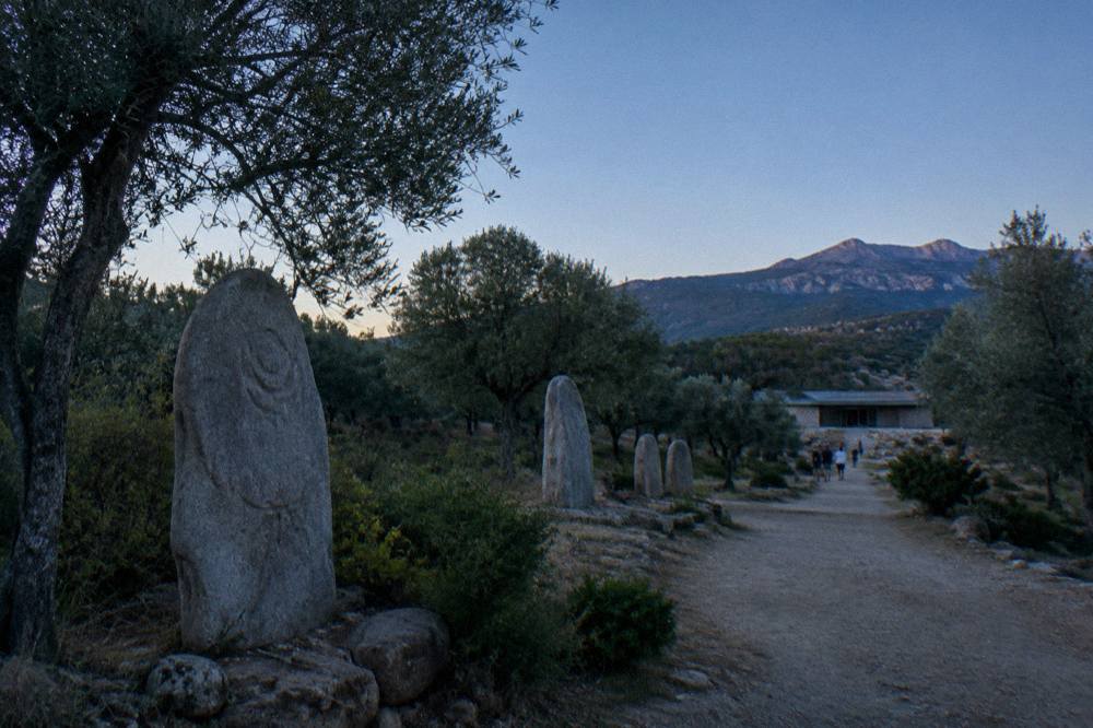 Weathered standing stones carved with faces among olive trees on a quiet hillside