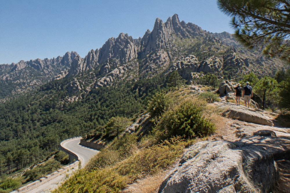 Turkish-water beach of southern Corsica framed by pines on a bright summer afternoon