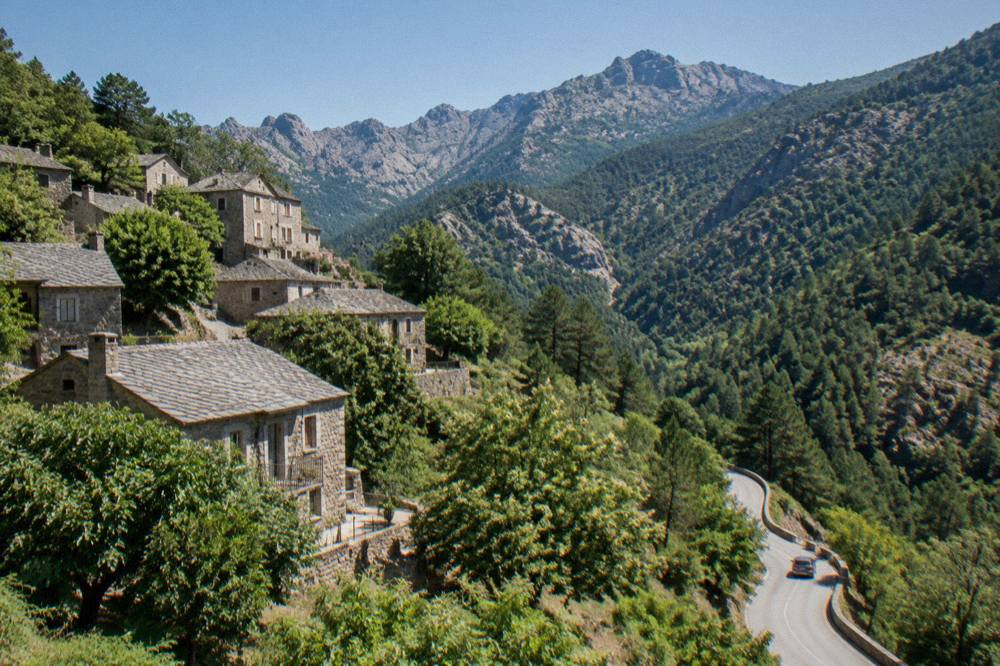A mountain road winding through dense forest in the Corsican interior