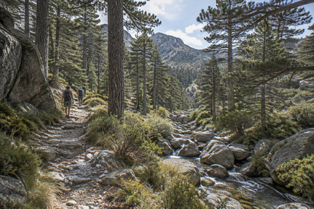 Hikers walking a stony mountain path between granite rocks and pine trees