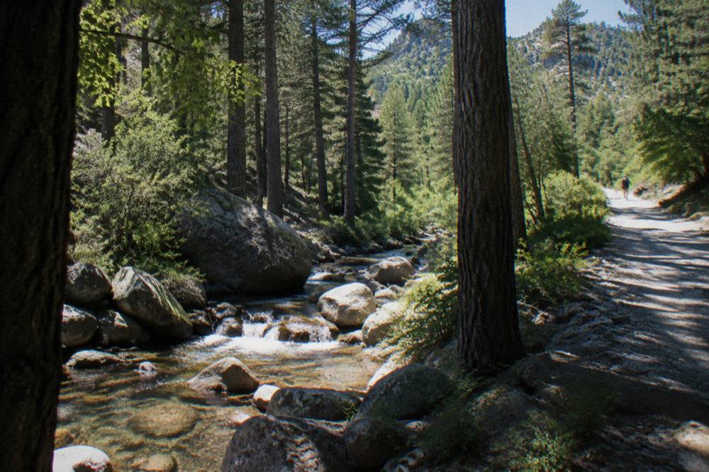 A clear freshwater stream running over rocks through shaded forest