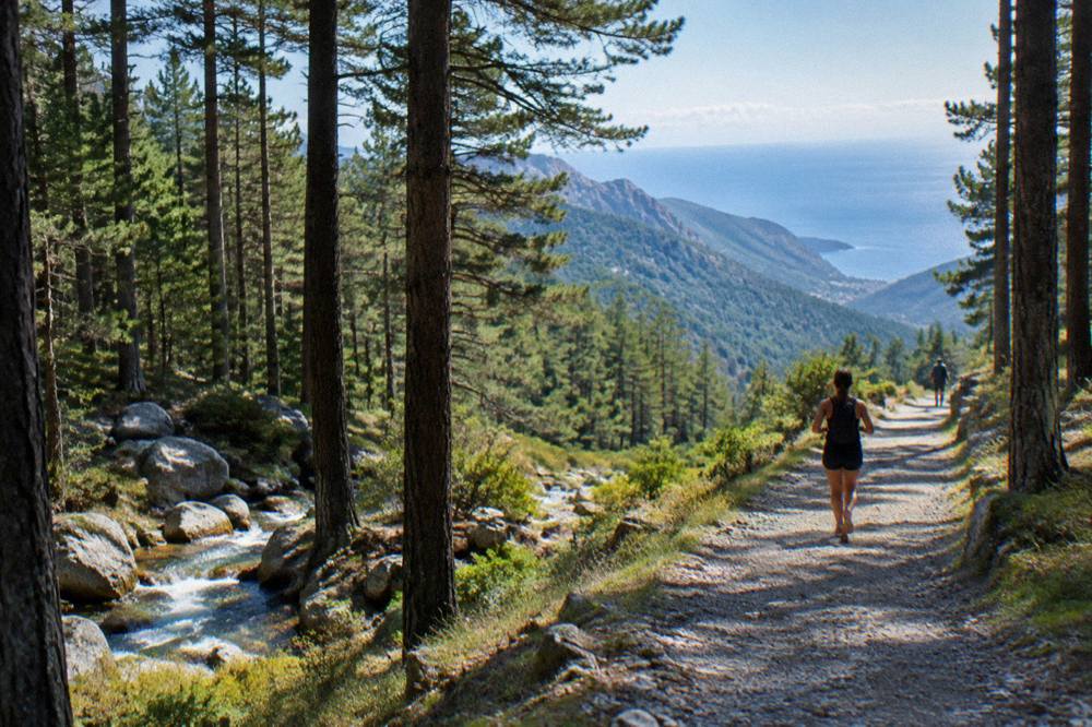 Wide view of forested mountains descending toward the Mediterranean sea