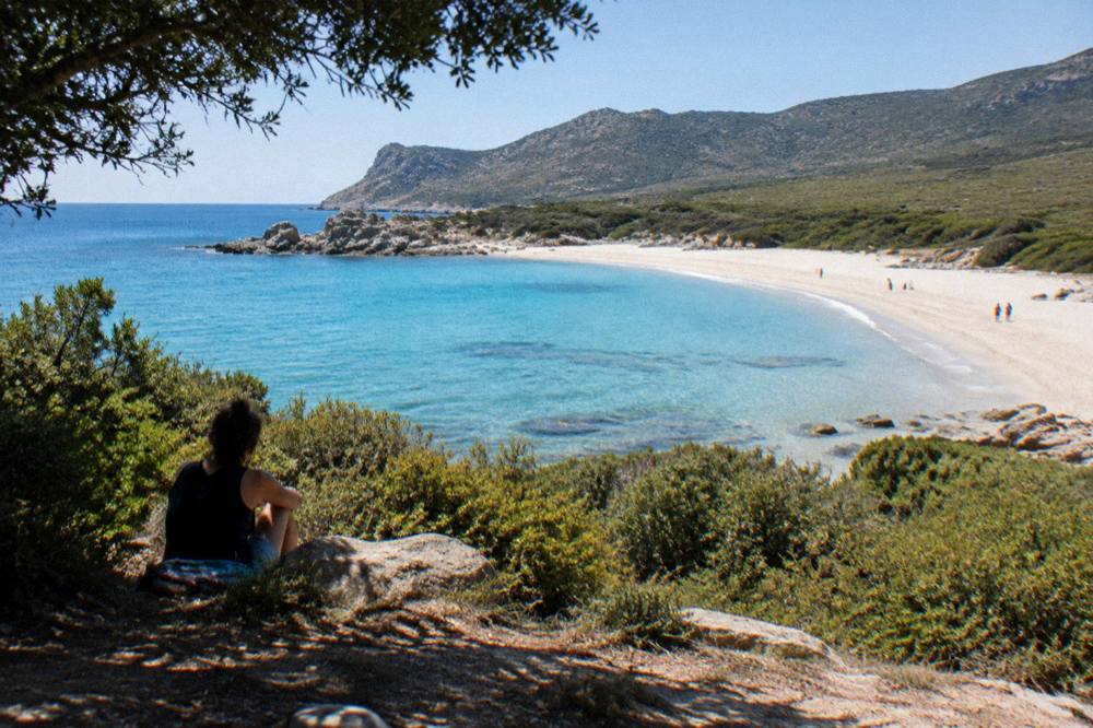 A shaded spot among maquis shrubs with a view over blue sea to a distant headland