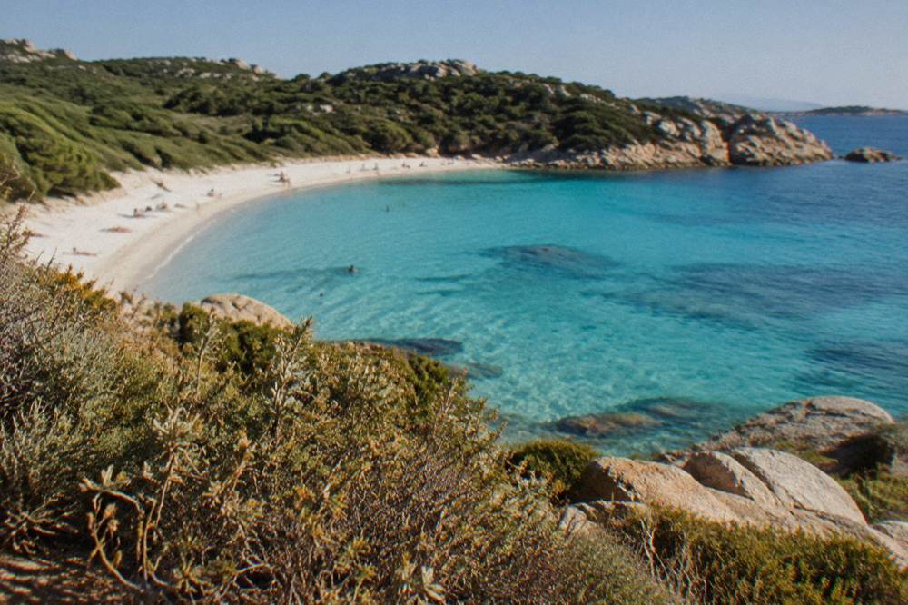 Low golden light across a Corsican beach in late afternoon with dry maquis scrub in the foreground