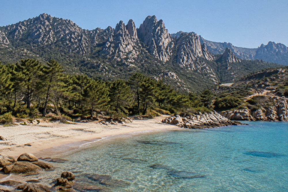 A pine-backed sandy beach with clear shallow water along a Corsican shoreline
