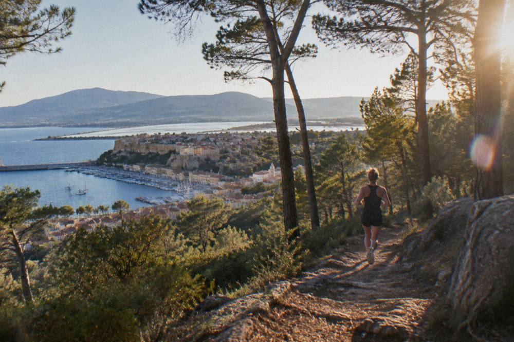 A forest track climbing through tall pines toward rocky summits in Corsica