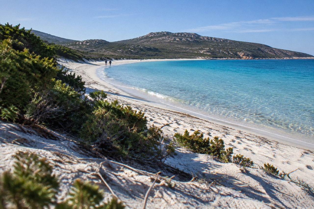 A long empty sweep of white sand with dunes and dry scrub behind
