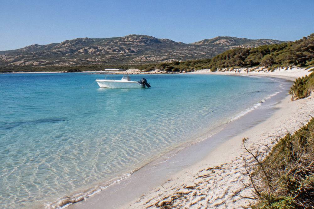 A small motor boat anchored just off a sandy beach with tree-lined dunes