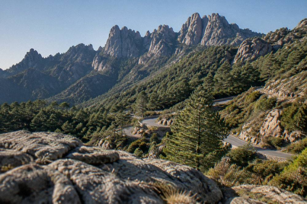 A winding mountain road with hairpin bends climbing through pine woods toward the Col de Bavella