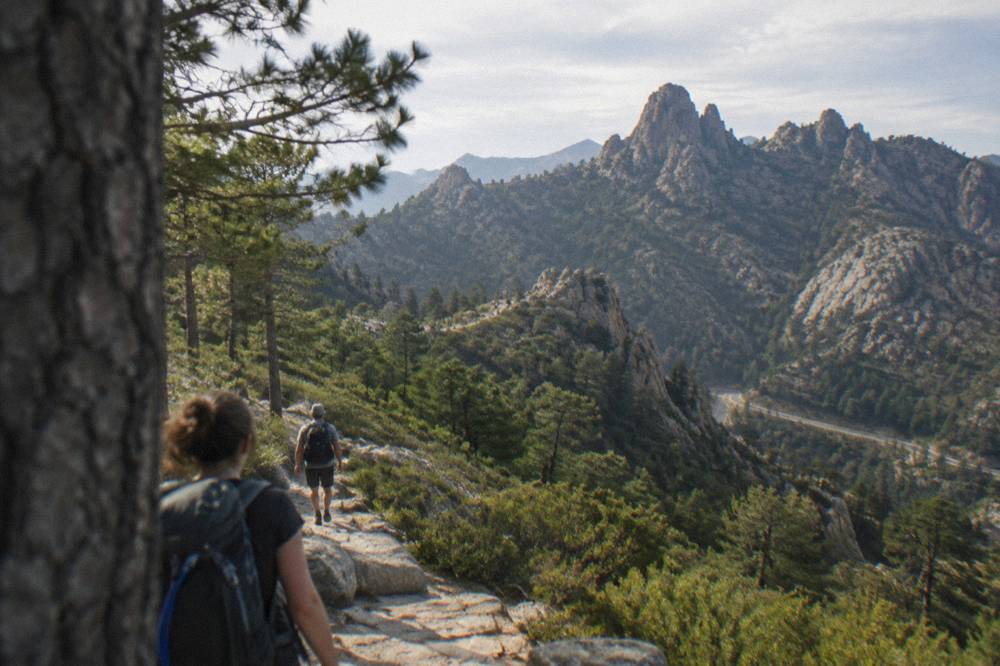 Hikers on a stone trail among pine trees with granite rock towers above