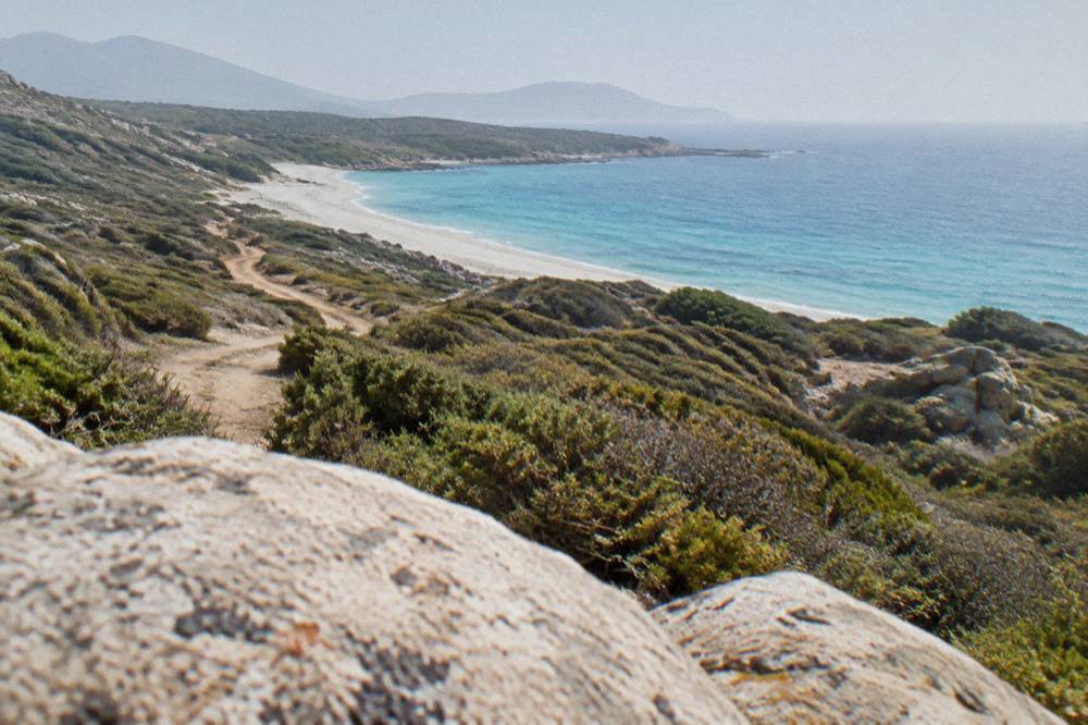 A white sand beach backed by low scrub at the edge of the Désert des Agriates
