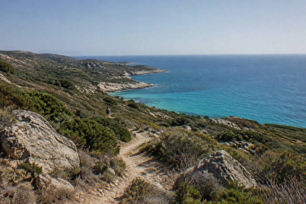 Low maquis vegetation rolling down towards a turquoise sea horizon