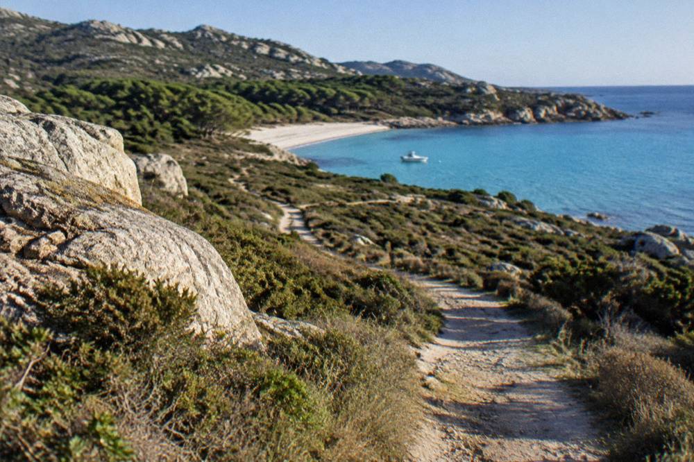 A small boat anchored just off a pale sand beach with pine trees