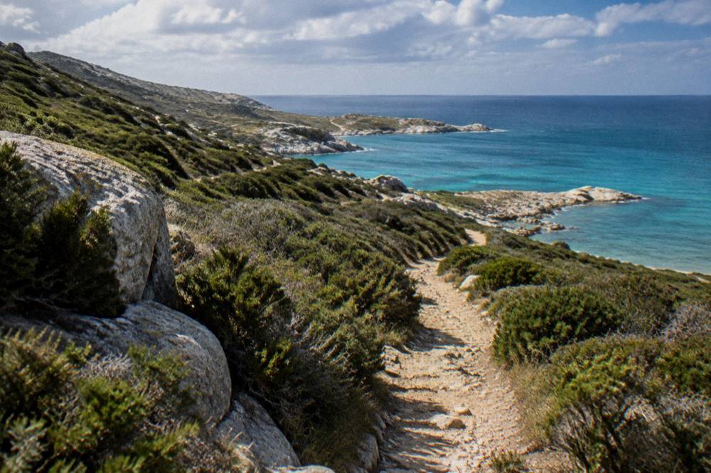 A sandy path winding through low green scrub towards the sea