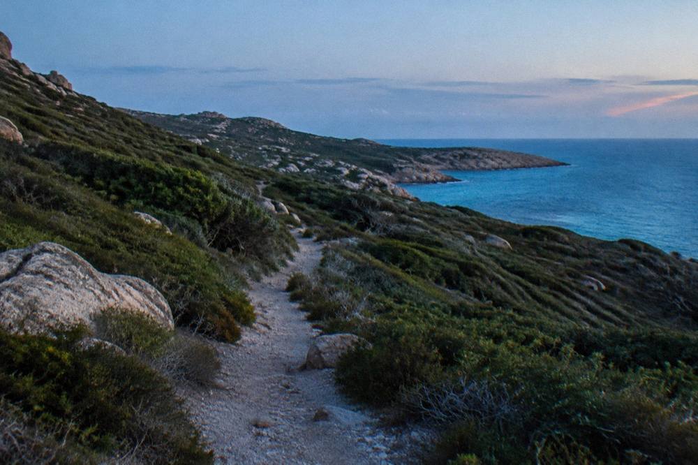 An empty coastal track curving through scrub towards the horizon