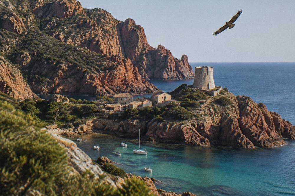 A large bird of prey gliding above red rock towers above the sea