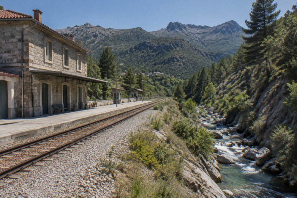 A mountain stream and pine slopes seen from a railway cutting in central Corsica