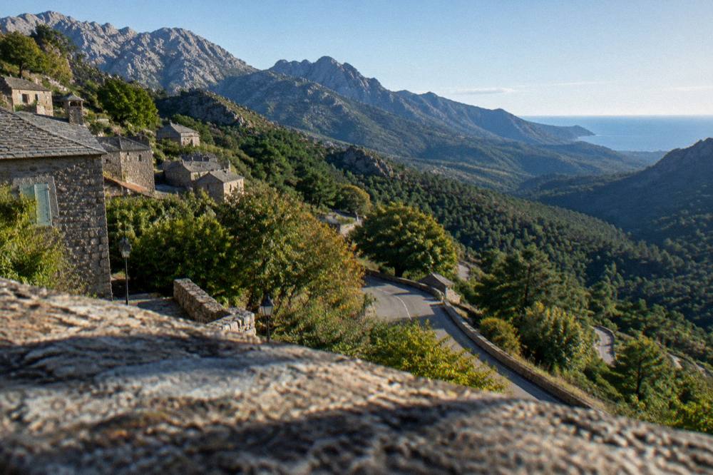 Mountain road winding through green Corsican hills with the sea in the distance