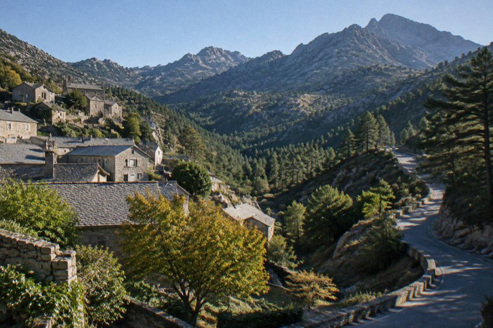 A winding mountain road climbing through pine forest toward a high pass in central Corsica