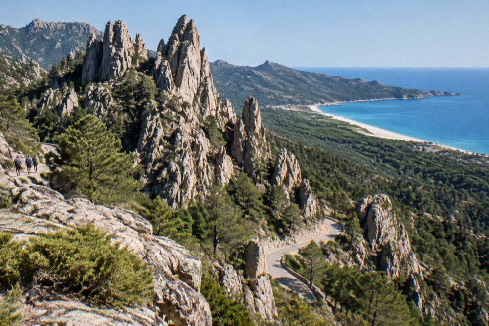 A wide sandy beach backed by pine trees on the Corsican coast
