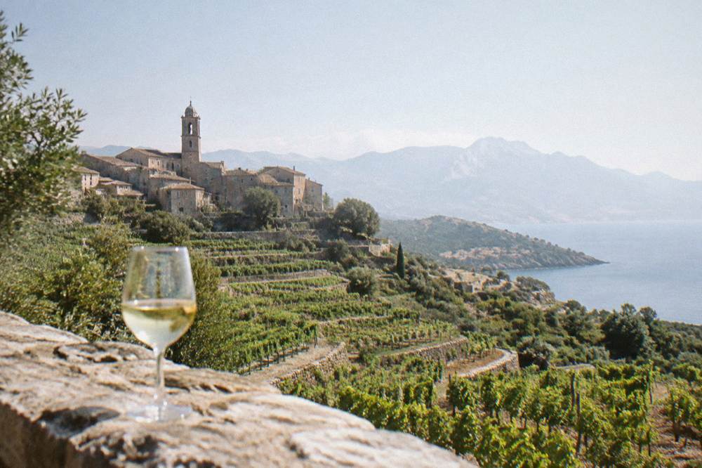 Rows of vines on a terraced hillside above the sea with a glass of white wine in the foreground