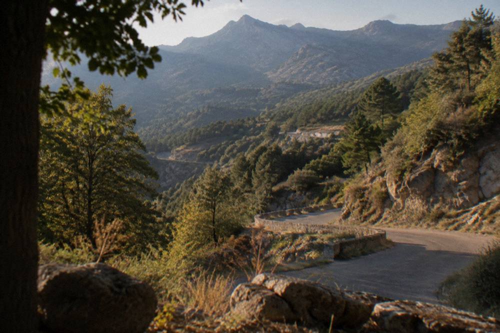 A narrow mountain road with hairpin bends climbing through Corsican maquis scrub