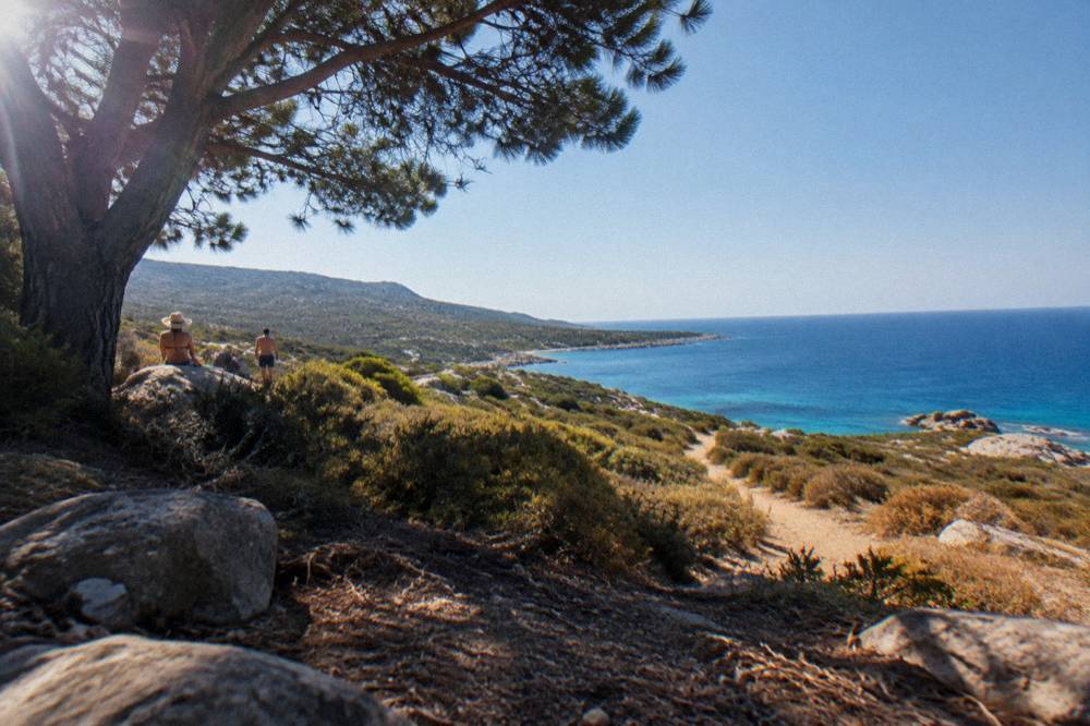 A dry Corsican hillside of maquis scrub under a clear summer sky