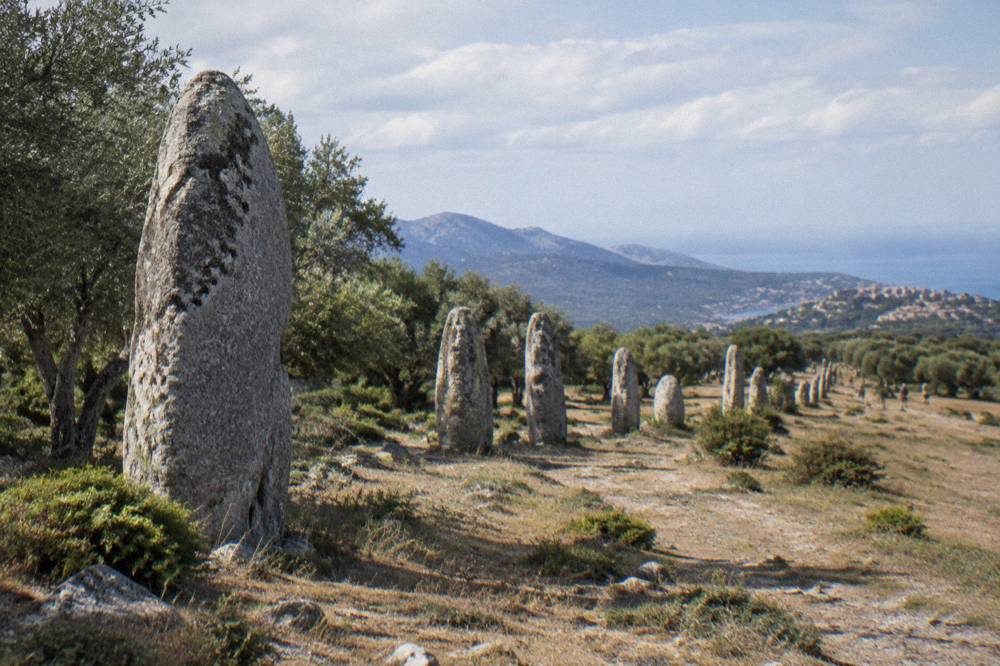 Granite menhir standing among olive trees at a prehistoric site in Corsica