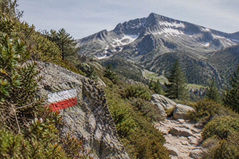 A red and white waymark painted on a rock beside a trail through maquis scrub