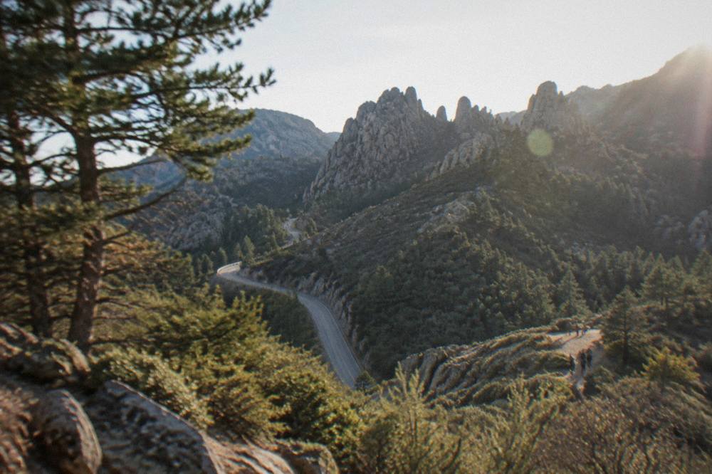 A winding mountain road climbing through pine forest toward bare granite peaks