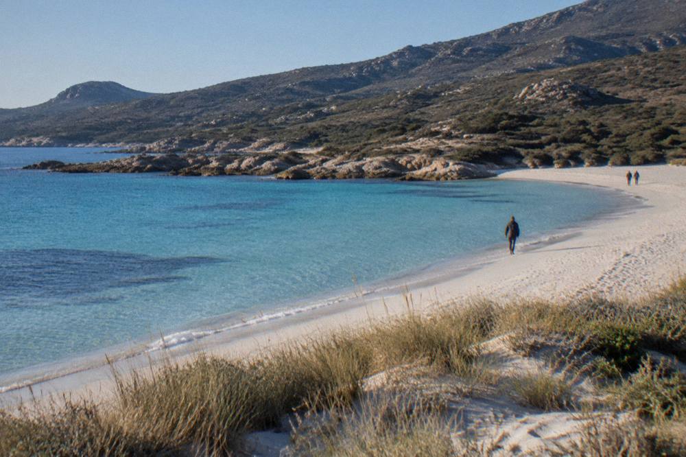 A quiet sandy beach with dune grass and clear shallow water in early morning light