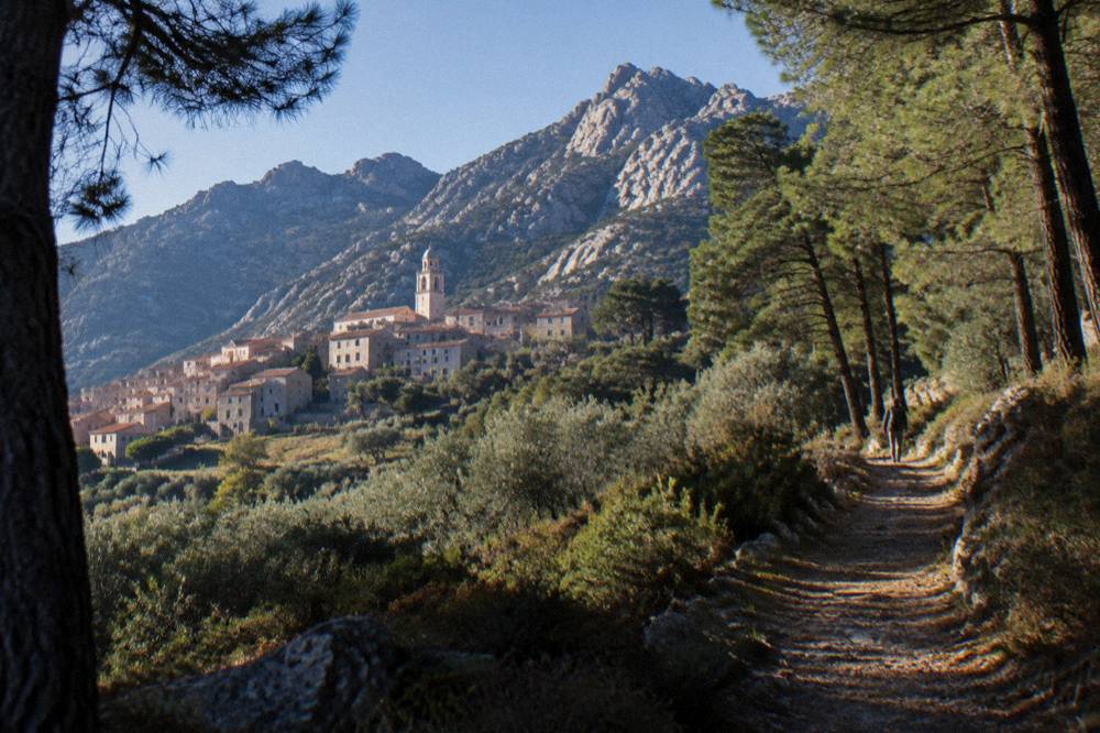 A narrow path climbing through pine forest toward pale limestone peaks in southern Corsica